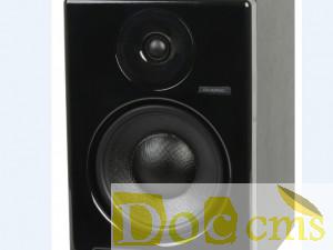 美國PHONIC 監(jiān)聽音箱